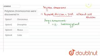 Polytene chromosomes were discovered in [upl. by Bili]