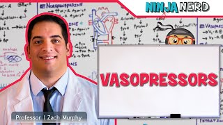 Vasopressors Inodilators Inopressors Pure Vasopressors Methylene Blue Midodrine [upl. by Kramnhoj96]