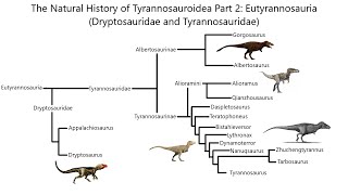 Derived Tyrannosaurs Dryptosaurs and Tyrannosaurids  The Natural History of Life [upl. by Dempsey]