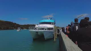 Trip to Paihia Bay of Islands New Zealand [upl. by Merrick]