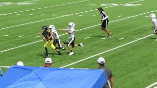 Denison Killerbees 4th grade vs Prosper black 2024 [upl. by Geer]