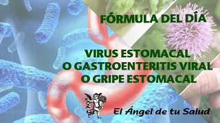 FÓRMULA HERBOLARIA PARA TRATAR VIRUS ESTOMACAL O GASTROENTERITIS VIRAL O GRIPE ESTOMACAL [upl. by Payne]