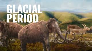 How was Beringia formed [upl. by Anrahs]