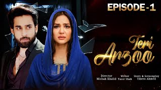 Teri Arzoo  Epsiode 1  Bilal Abbas Khan  Madiha Imam  Anoushey Ashraf  Pakistani New Drama [upl. by Hallette]