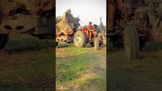 260 power tractor shorts tractorvideo [upl. by Enenaj968]