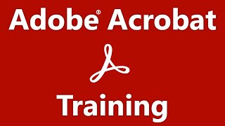 Acrobat Tutorial Managing Portfolio Content  Adobe Acrobat Training Course [upl. by Kitchen]