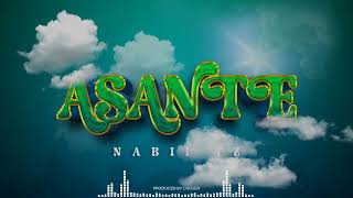 Nabii Tz  Ahsante Official Audio visualizer [upl. by Enilemme311]