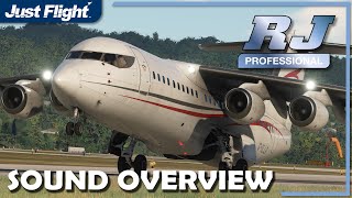 RJ Professional MSFS  Just Flight  Sound Overview [upl. by Ho]