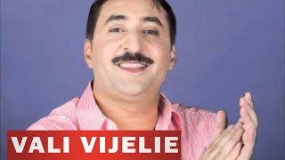 VALI VIJELIE  Te chem in noapte OFICIAL AUDIO TRACK [upl. by Violet59]