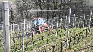 Kubota Narrow M9540 in vigneto [upl. by Atirehc]