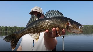 5 Biggest Walleye Challenge [upl. by Taite]