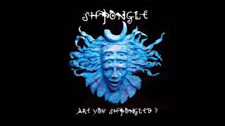 Shpongle  Divine Moments Of Truth HQ [upl. by Aiem]