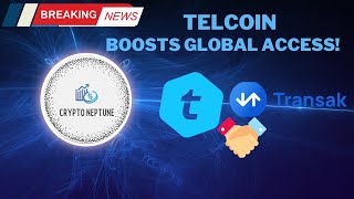 Telcoin Boosts Global Access [upl. by Nalad]