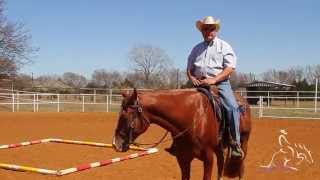 Horse Training  Trail with Will Knabenshue Performing the Cloverleaf Exercise [upl. by Blasien906]