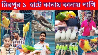 কানায় কানায় পাখি মিরপুর ১ পাখির হাট  Parrot price in Bangladesh  mirpur 1 pakhir hat [upl. by Hagile122]