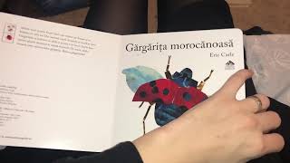 Gargarita Morocanoasa  Grouchy Ladybug Eric Carle [upl. by Nnaeiluj]