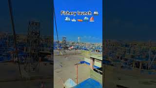 Fishery launch fypシ゚viral my youtubchannelsubscribe viralshorts viralvideo [upl. by Ellinehc]