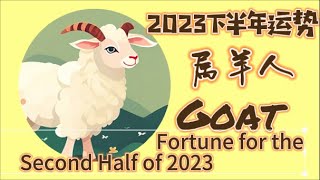 2023下半年运势 属羊人  不同年份出生的属羊人在2023年的运势 [upl. by Michaela]