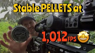 RangeVLOG  We Did It Cheap Pellets at Slug Speed amp Performance [upl. by Ynaffets681]