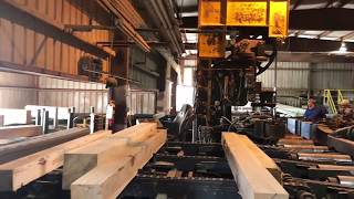 sawmill tours st mill [upl. by Kahlil]