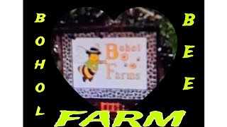 BOHOL BEE FARM RESORT AND RESTAURANTbohol travel rishateabee [upl. by Yeslrahc]