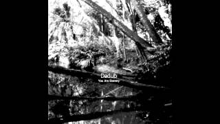 Dadub  Vibration Stroboscopic Artefacts SACD003 [upl. by Grange]