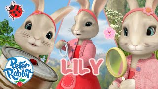 ​OfficialPeterRabbit  🌟 Lilys Brilliance 🌟  Day of the Girl Special 🎉 💕🎉  Cartoons for Kids [upl. by Noda]