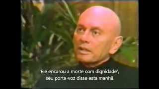 CAT Yul Brynner  o rei morto pelo cigarro [upl. by Anev]