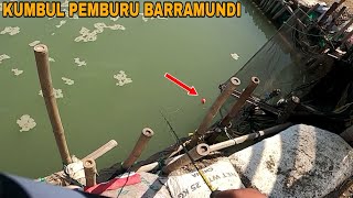 Sambaran terGilaaa Aksi keganasan ikan barramundi Tergila bikin repot pemancing saat fight [upl. by Kcirdderf48]