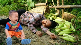 Harvesting corn to sell  Unfortunately I got sunstroke and fell  how to make corn cakes to eat [upl. by Pierette318]