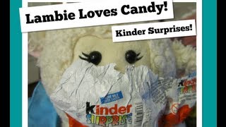 229 Lambie Loves Candy Kinder Surprises  LambCam [upl. by Aggappe139]