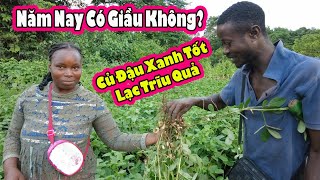 Kiểm tra đánh giá kết quả Fazenda 2Q Antonio 2Q vlogs Cuộc Sống Châu Phi [upl. by Saixela168]