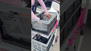 🛍️🐾🛒 Grocery Shopping For My Dogs asmr restock groceryhaul groceryshopping shorts viral [upl. by Lapides]