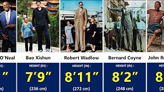 Tallest People in the World  Height Comparison [upl. by Wadlinger]