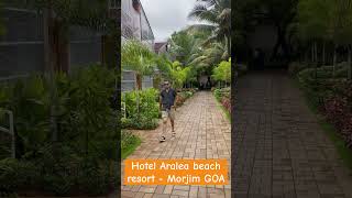 Aralea beach resort Morjim GOA travel viral youtubeshorts [upl. by Tychon]