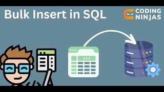 Bulk insert in sql server  شرح بالعربي [upl. by Eirrot]