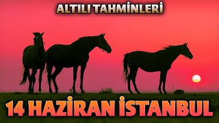 14 Haziran İstanbul At Yarışı  2Altılı Tahminleri tjk zaferyolu [upl. by Bolten]