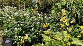 Lowther Castle  The Gardenintheruins [upl. by Idnir980]