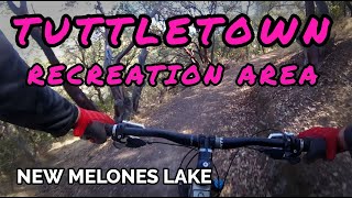 MOUNTAIN BIKING NEW MELONES LAKE  Tuttletown Recreation Area [upl. by Browning]