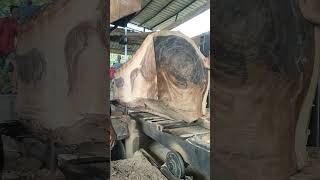 Kayu Trembesi 3 warna yang berbeda wood sawmill [upl. by Oenire660]