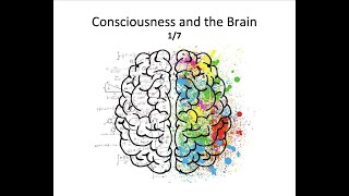 Consciousness and the Brain 17 [upl. by Lusa]