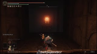 Fastest way through Darklight Catacombs [upl. by Tterraj]