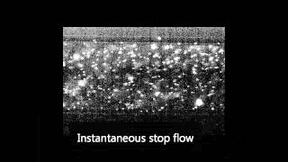 Parabolic and plug flow in a microfluidic channel [upl. by Sturrock]