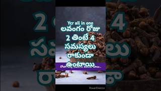 Lavanga helth benfit telugu [upl. by Ellerey]