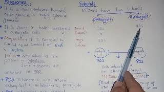 Ribosomes Structure And Functions  Polysomes  Federal amp KPK Board [upl. by Anniahs815]