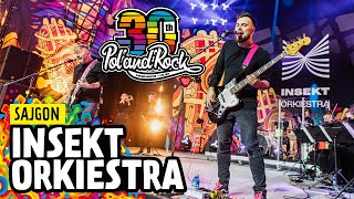 Insekt Orkiestra  Sajgon polandrock2024 [upl. by Werby]