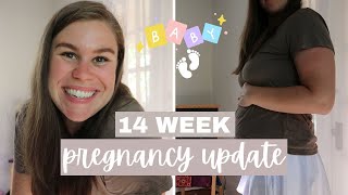 14 WEEK PREGNANCY UPDATE [upl. by Deehan617]