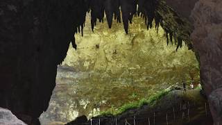 Rio Camuy Cave Puerto Rico 4K [upl. by Sullecram]