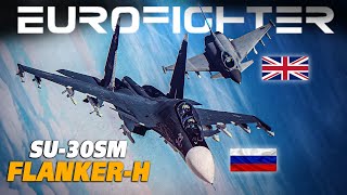 Eurofighter Typhoon Vs Su30SM FlankerH DOGFIGHT  Digital Combat Simulator  DCS [upl. by Horwitz385]