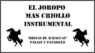 Joropo Instrumental  Brisas de Achagua [upl. by Benedict]